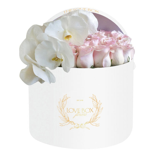 Baby Pink Roses with Orchid Branch in Large Box