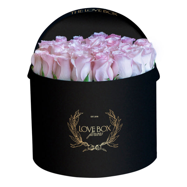 Baby Pink Roses in Large Black Box