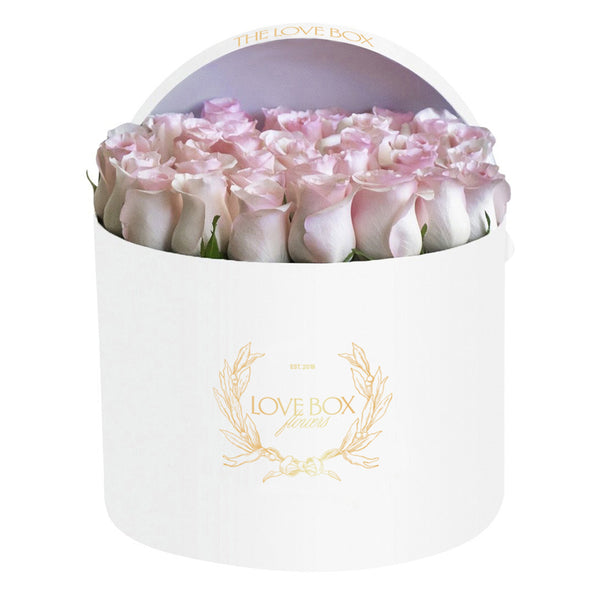 Baby Pink Roses in Large White Box