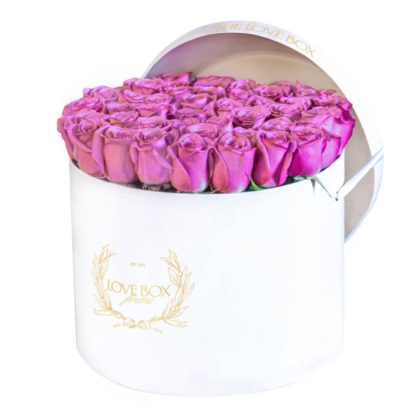 Violet Roses in Large Box