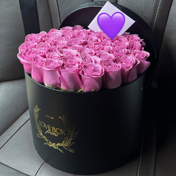 Violet Roses in Large Box