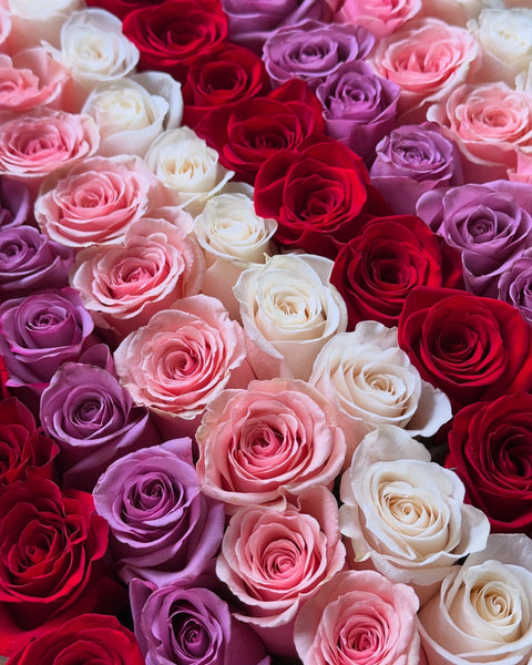 Rainbow Roses in Medium Square Box