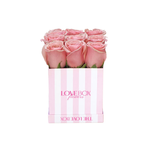 Baby Pink Roses in Mini Striped Square Box