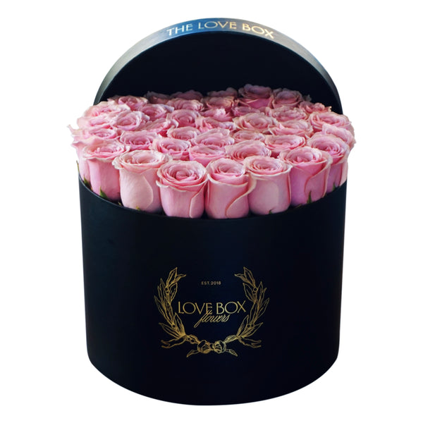 Baby Pink Roses in Large Black Box