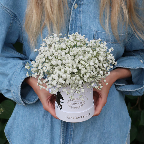 Baby's Breath in Mini Box