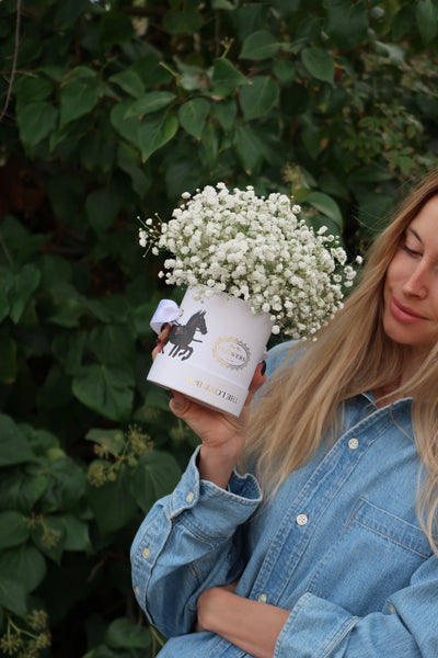 Baby's Breath in Mini Box