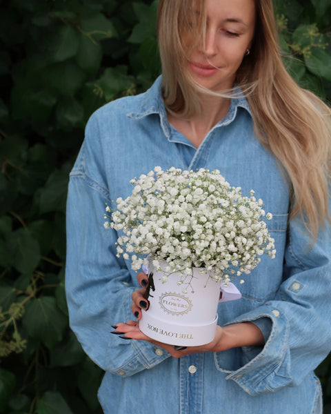 Baby's Breath in Mini Box