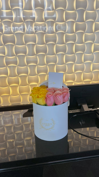 Mixed Roses in Medium Box