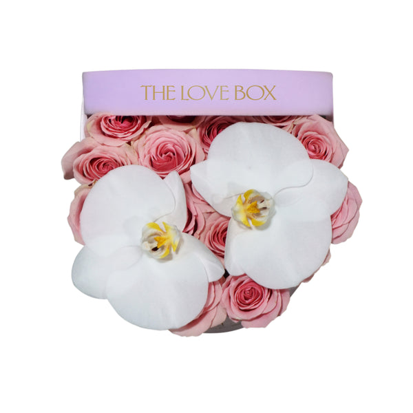 Baby Pink Roses with Orchids in Medium Pink Suede Box