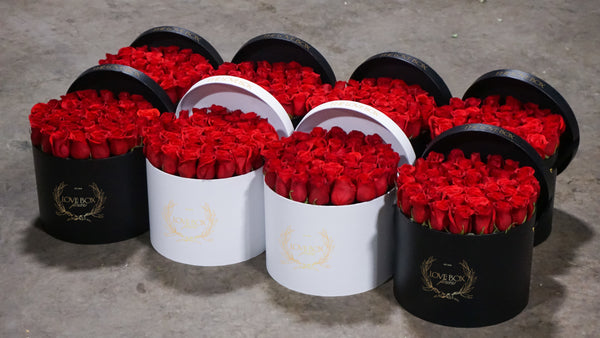 Classic Red Roses in Large White Box