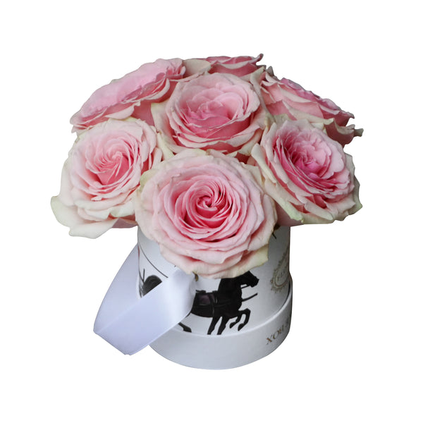 Pink Roses in Illustrated Mini Box