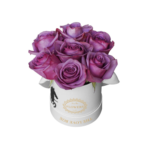 Violet Roses in Illustrated Mini Box
