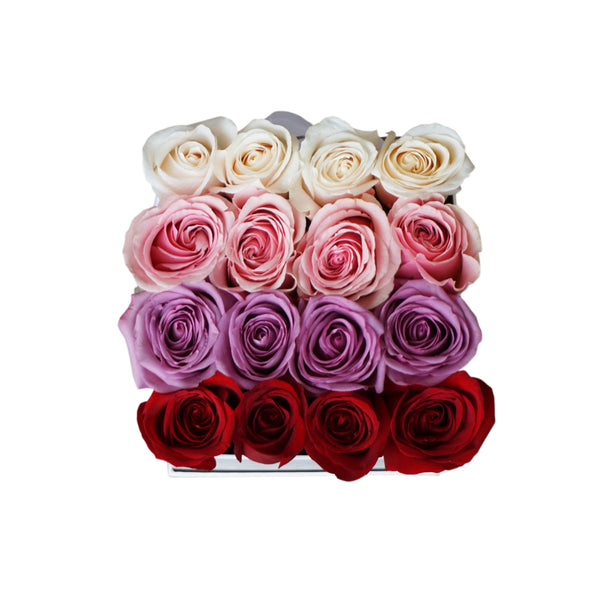 Rainbow Roses in Medium Square Box