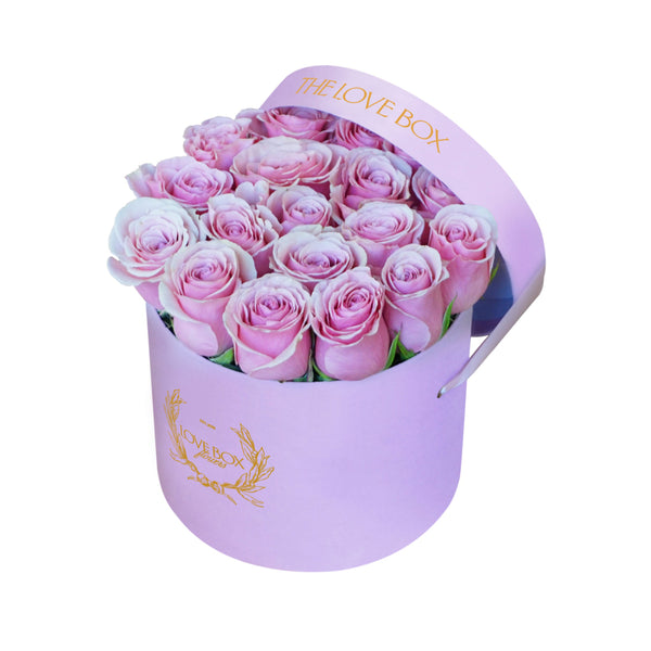 Baby Pink Roses in Medium Pink Suede Box