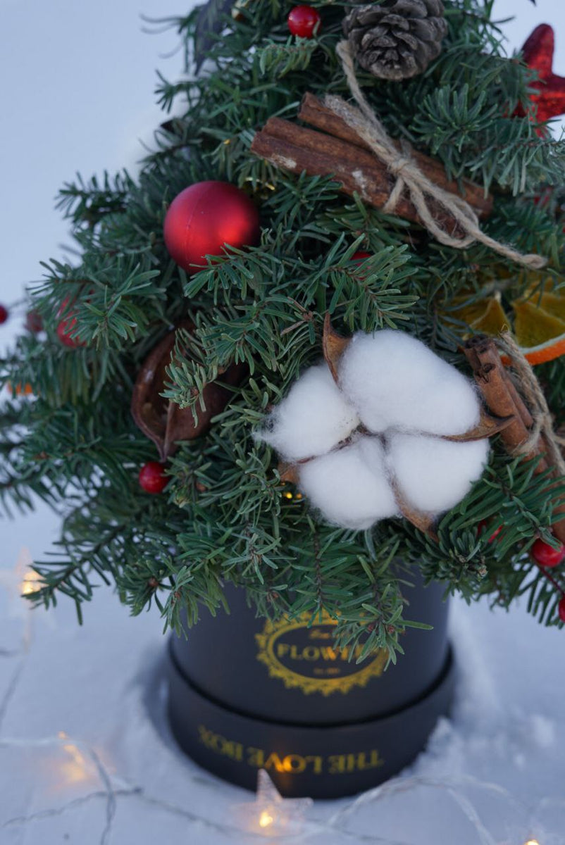 Order Small Live Christmas Tree Las Vegas Gifts Love Box Flowers