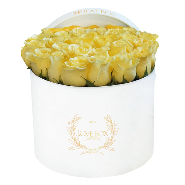 Yellow Roses in Large White Box