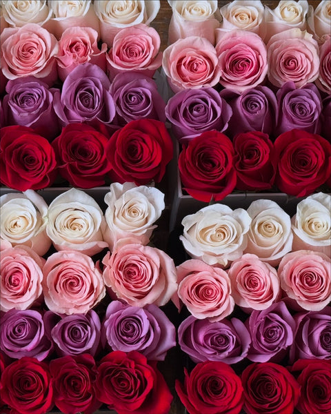 Rainbow Roses in Medium Square Box