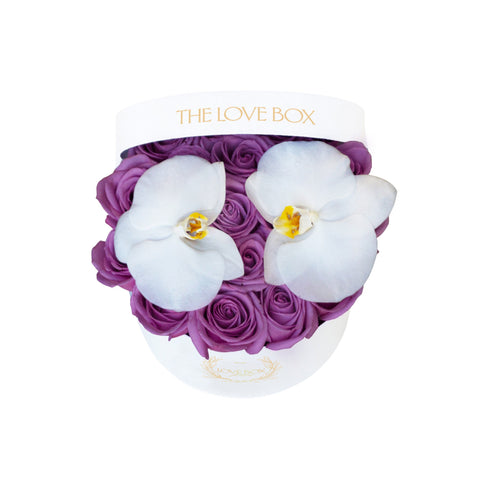 Violet Roses with Orchid Flowers in Medium White Box
