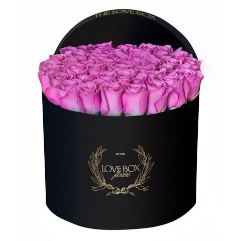 Violet Roses in Large Box