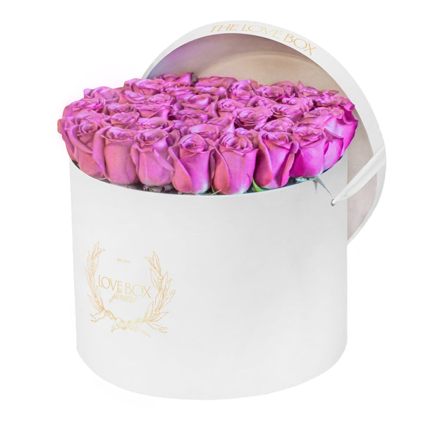 Violet Roses in Large White Box