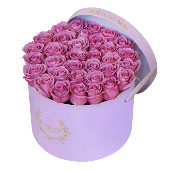 Violet Roses in Large Pink Suede Box