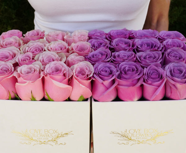 Violet Roses in Medium White Square Box