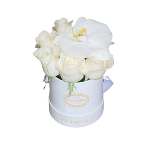 White Roses with Orchid Flower in Mini White Box