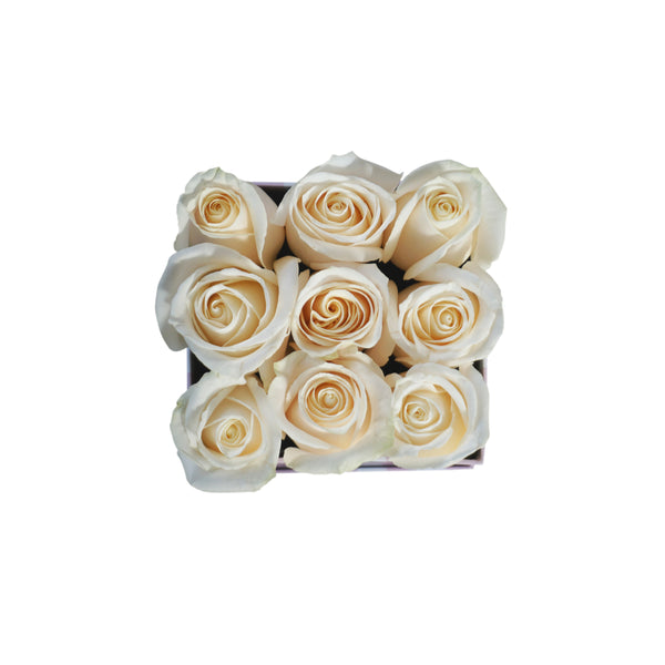 White Roses in Mini Striped Square Box