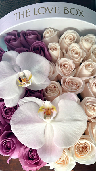 Violet & White Roses with Orchid Flowers in Large Box