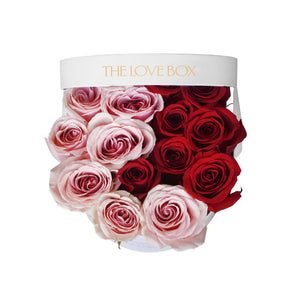 Pink and Red Roses in Medium Box