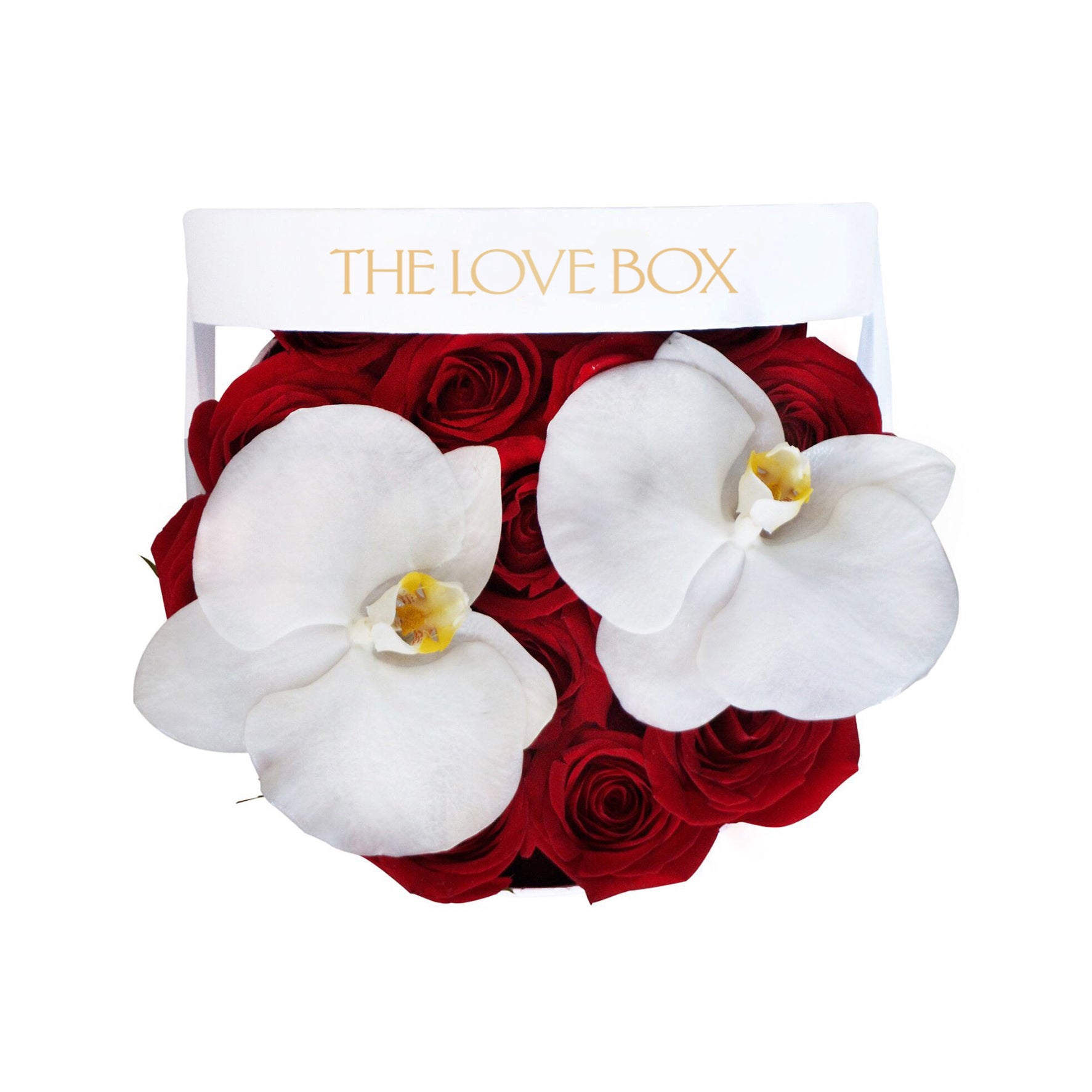 Red Roses & Orchid Flowers in Medium Box