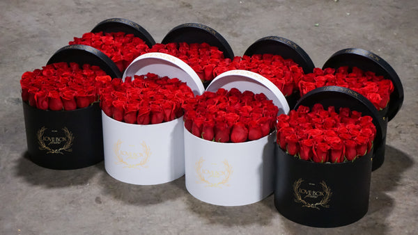 Classic Red Roses in Large Black Box
