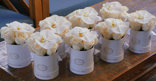 White Roses with Orchid Flower in Mini Box