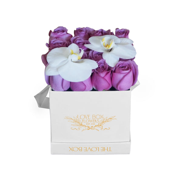 Violet Roses with Orchid Flowers in Medium Square Box