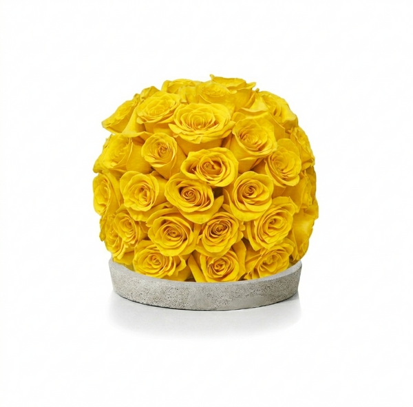 Fresh Rose Ball Arrangement on Disk Vase