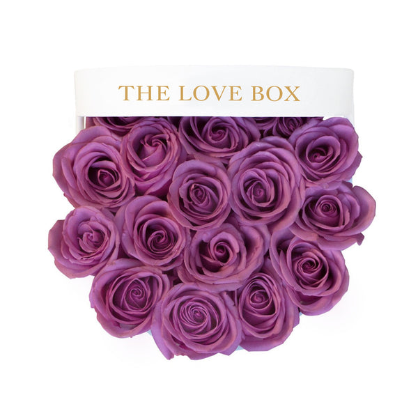 Violet Roses in Medium White Box