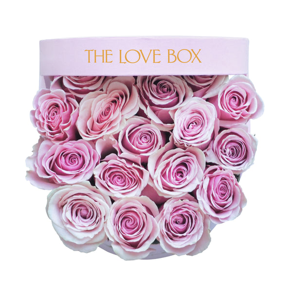 Baby Pink Roses in Medium Pink Suede Box