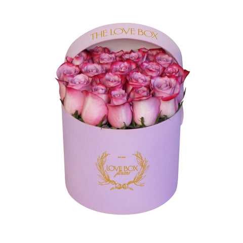 Violet Roses in Medium Pink Suede Box