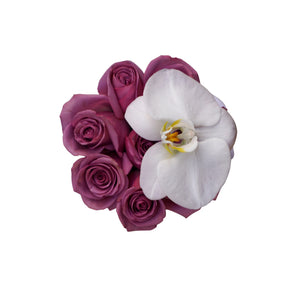 Violet Roses with Orchid Flower in Mini White Box