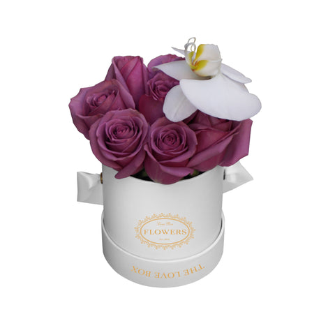 Violet Roses with Orchid Flower in Mini White Box