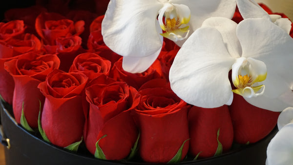 Red Roses with Orchid Branch in Large Box
