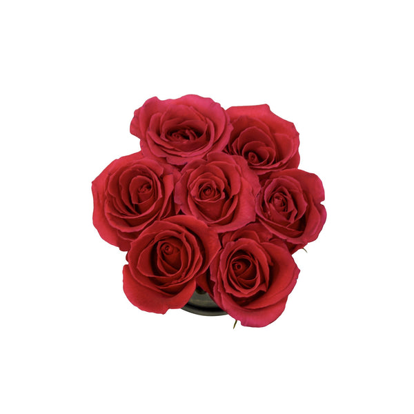 Red Roses in Mini Box - The Love Box Flowers