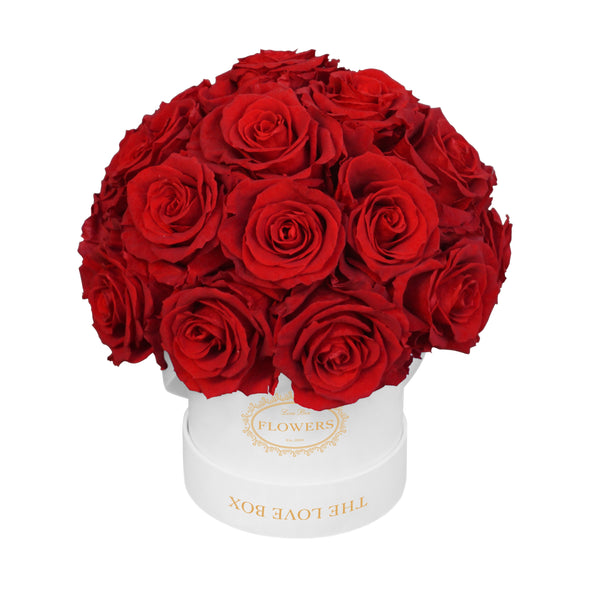 Classic Red Long Life Rose in White Box