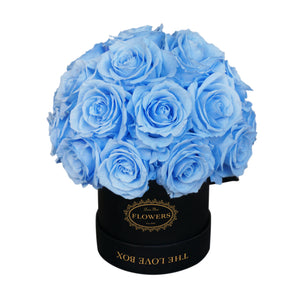 Baby Blue Long Life Roses in Black Box