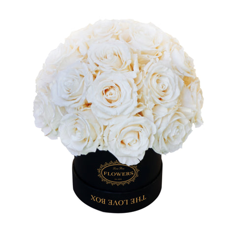 Cream Long Life Roses in Black Box