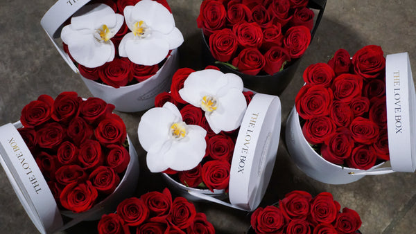 Classic Red Roses in Medium White Box