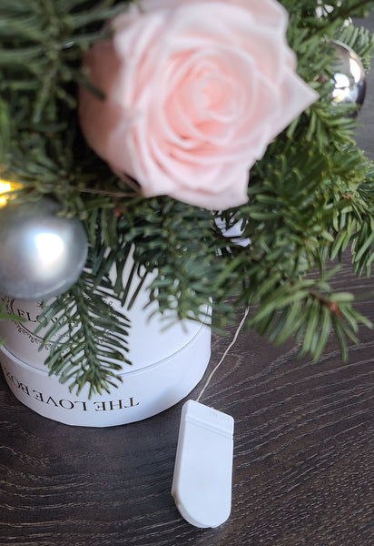 Live Christmas Tree with Roses in Box